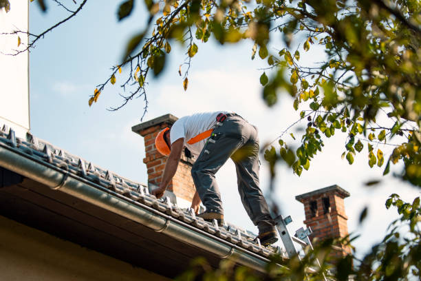 Best Hot Roofs  in Sidney, IL