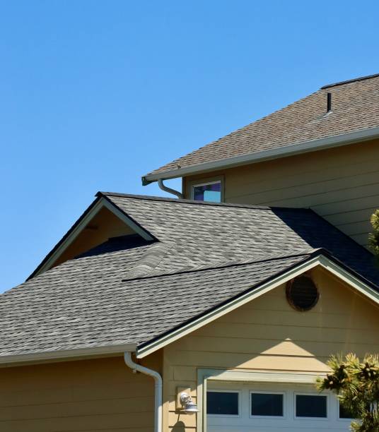 Best Roof Coating and Sealing  in Sidney, IL